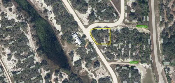 231 Lakeland Drive, LAKE PLACID, FL 33852