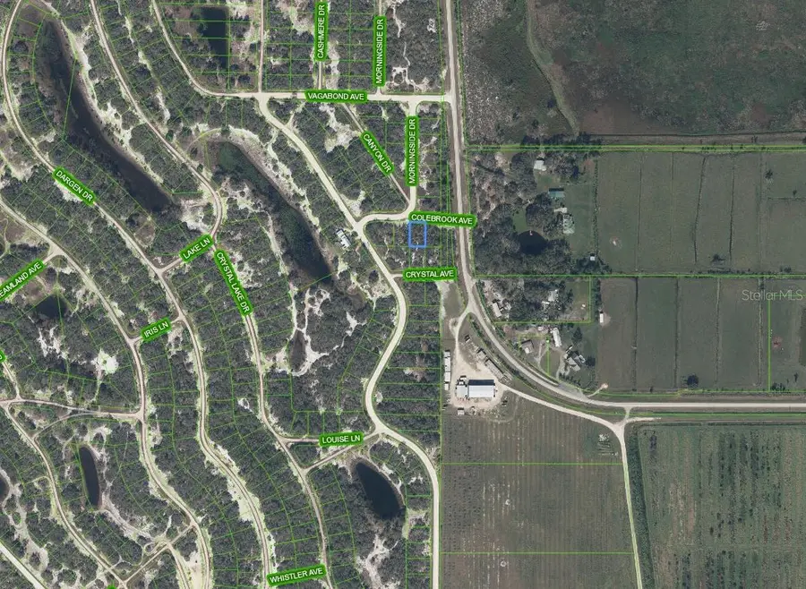 105 Colebrook Avenue, Lake Placid, FL 33852 - Image #3
