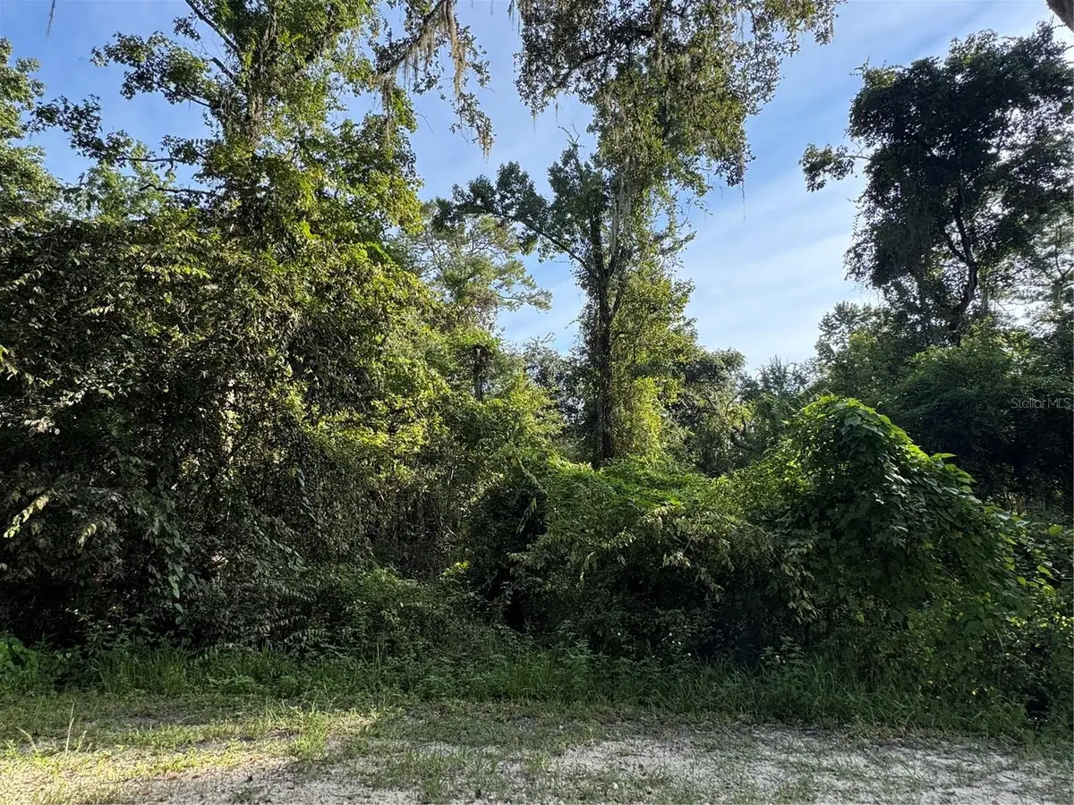 Barth Road, Dade City, FL 33523 - Image #1