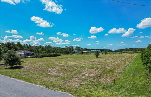 San Juan Avenue, POLK CITY, FL 33868