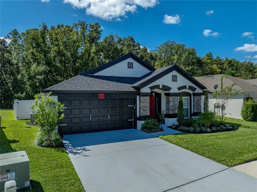 5207 Algerine Place, Wesley Chapel, FL 33544 - Image #3
