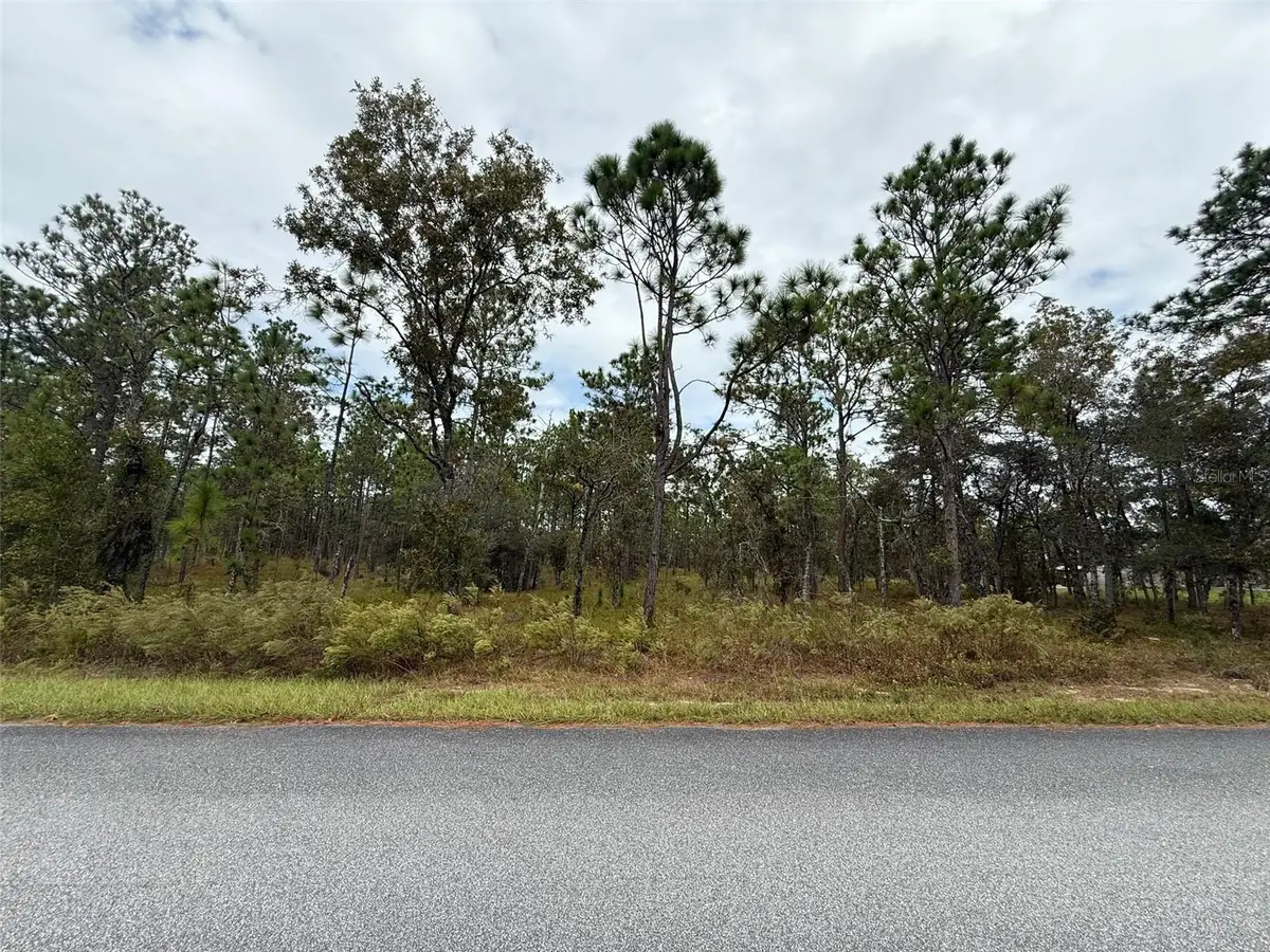 Nw Amberjack Avenue, Dunnellon, FL 34431 - Image #1