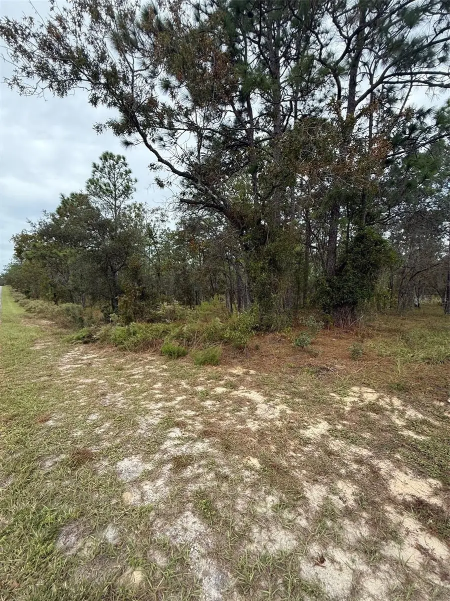 Nw Amberjack Avenue, Dunnellon, FL 34431 - Image #3
