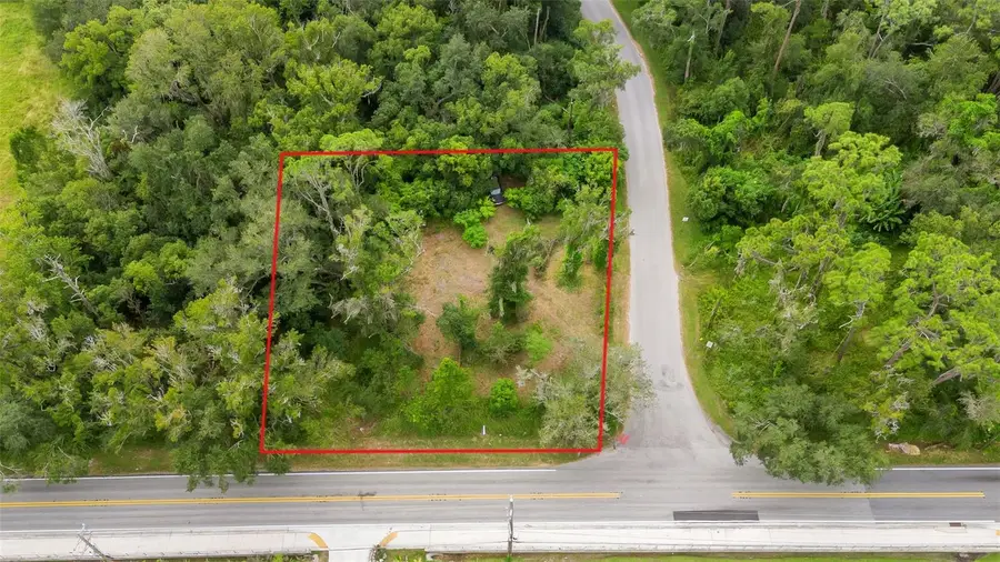 1650 Ariana Street, Lakeland, FL 33803 - Image #3