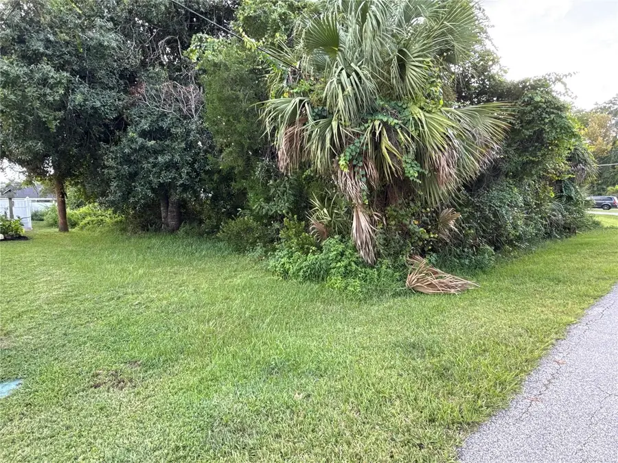 38 Pineapple Drive, Palm Coast, FL 32164 - Image #3