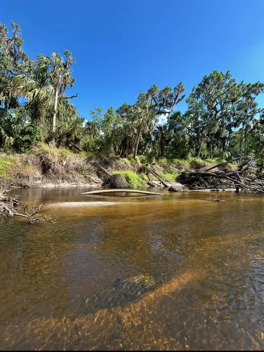 1786 Peace River Woods, Wauchula, FL 33873 - Image #3