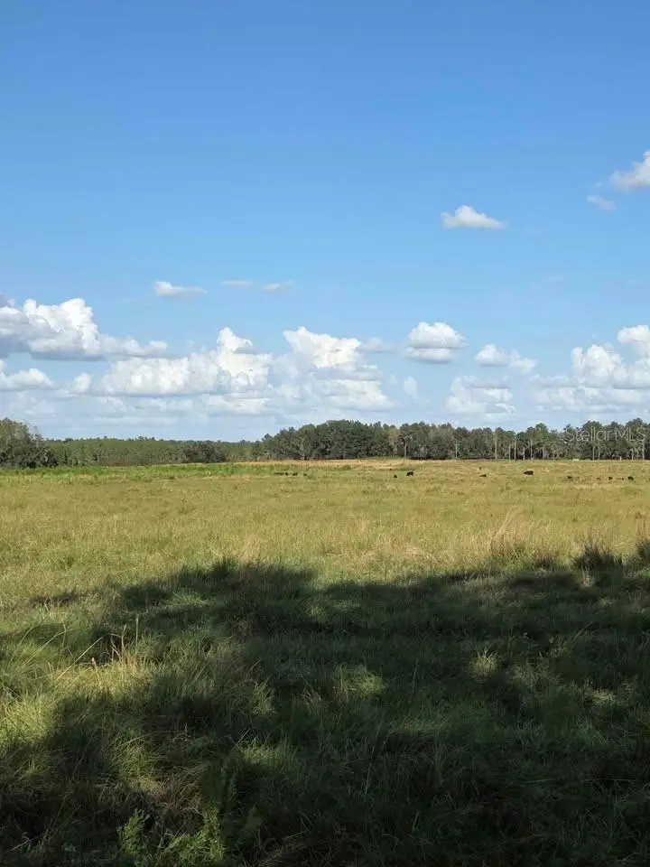 Address Withheld By Seller, Fort Meade, FL 33841 - #2