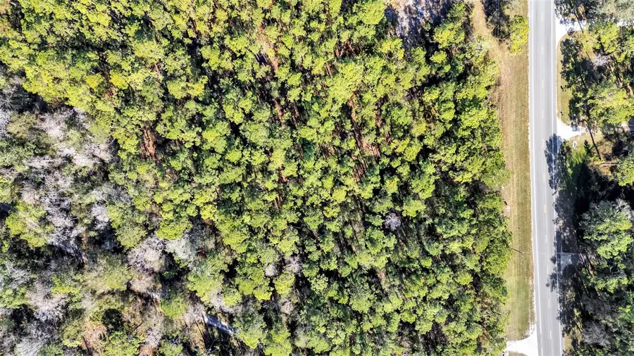 Commonwealth Avenue N, Polk City, FL 33868 - #3