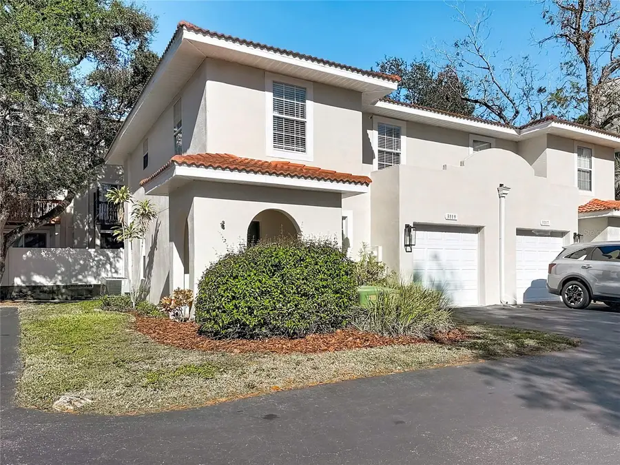 3119 Santorini Court, Tampa, FL 33611 - Image #3