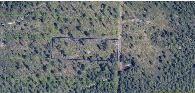 Dill Road, Orlando, FL 32820 - Image #1