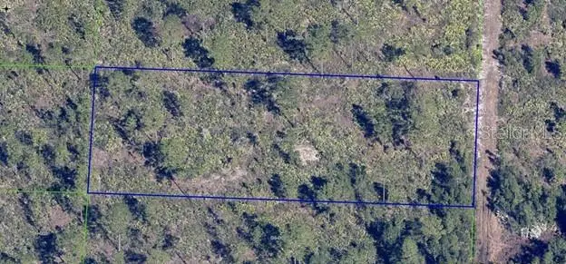 Dill Road, Orlando, FL 32820 - Image #2