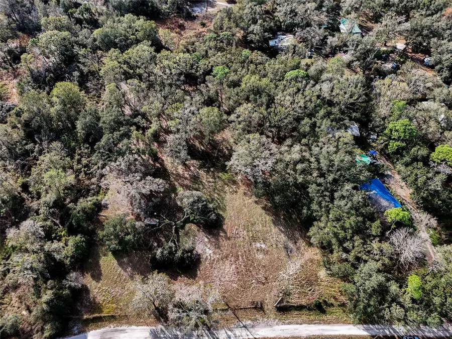 40550 Sutorus Road, Zephyrhills, FL 33540 - Image #3