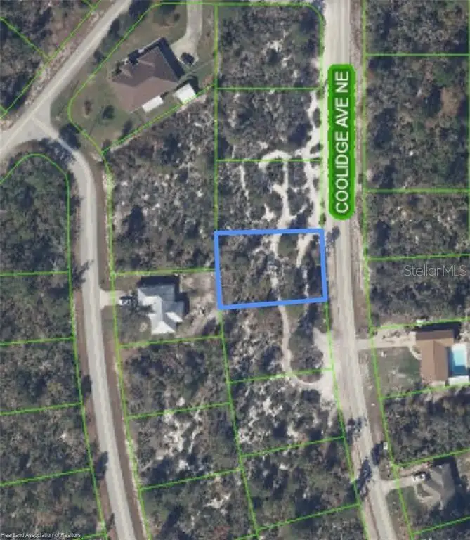 333 Coolidge Avenue Ne, Lake Placid, FL 33852 - Image #2
