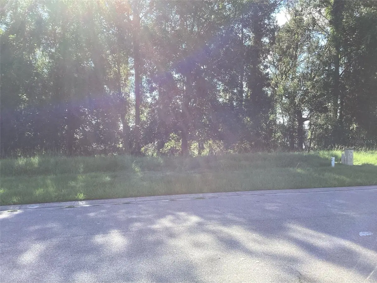 4589 Majestic Hills Loop, Brooksville, FL 34601 - #1