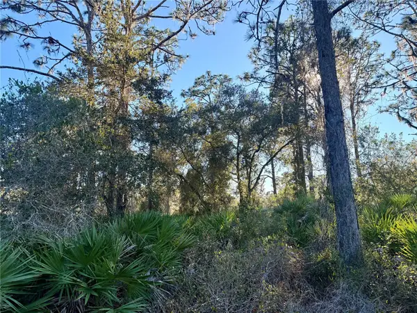 903 Hibiscus Drive, INDIAN LAKE ESTATES, FL 33855