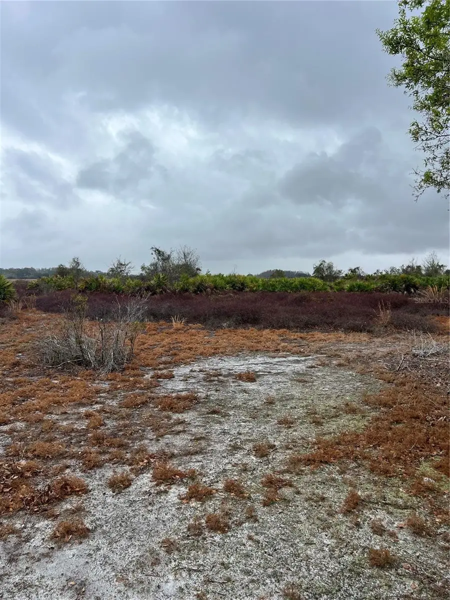 1137 Hopkins Lane, Zolfo Springs, FL 33890 - #3