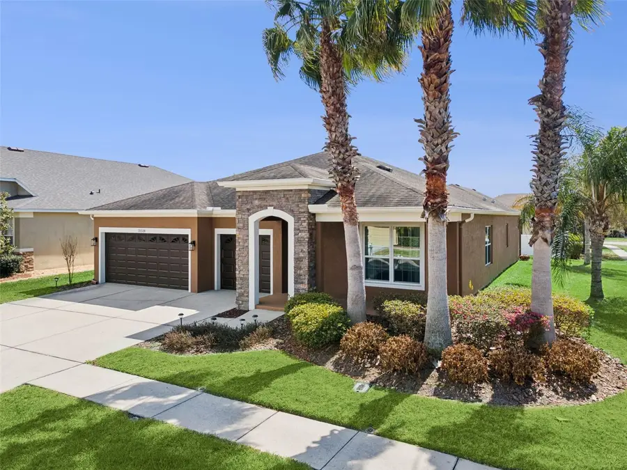 31518 Bearded Oak Drive, Wesley Chapel, FL 33543 - #2