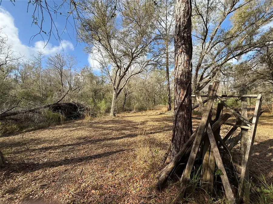 12708 Farmettes Road, Lakeland, FL 33809 - #2