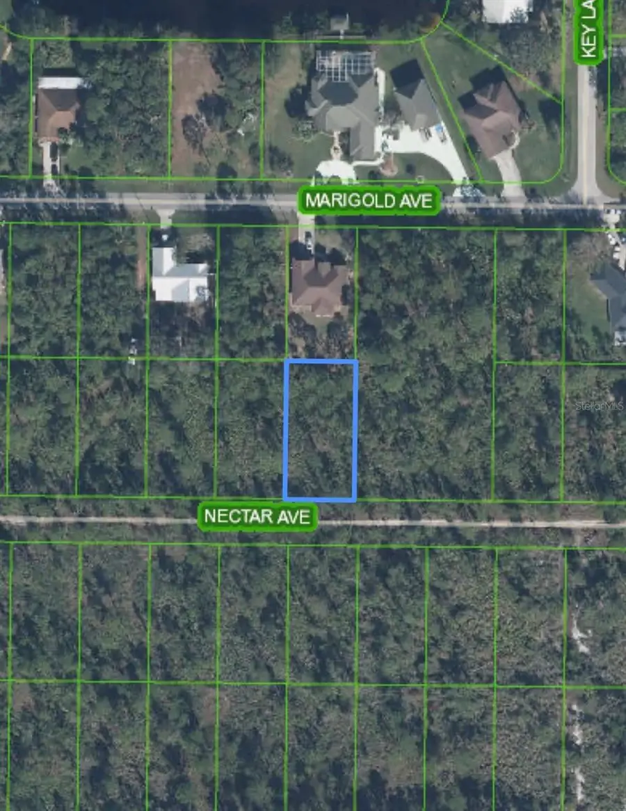 1702 Nectar Avenue, Sebring, FL 33875 - #2
