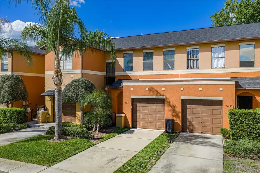 30131 Mossbank Drive, Wesley Chapel, FL 33543 - #2