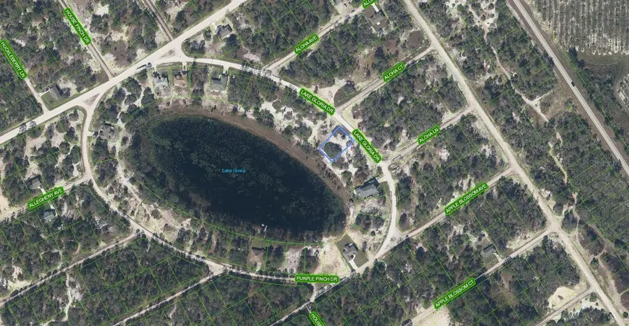 454 Lake Gloria Drive, Lake Placid, FL 33852 - #3