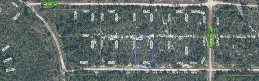 612 Scaup Avenue, Sebring, FL 33872 - #2