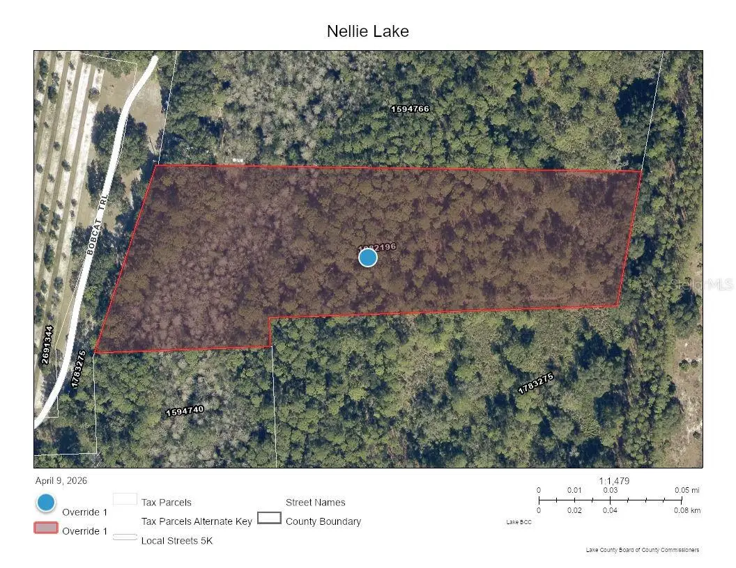5250 Lake Nellie Road, Clermont, FL 34714 - #1