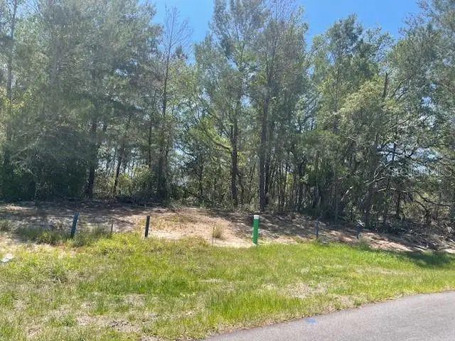 1342 Homosassa Drive, Poinciana, FL 34759 - #1