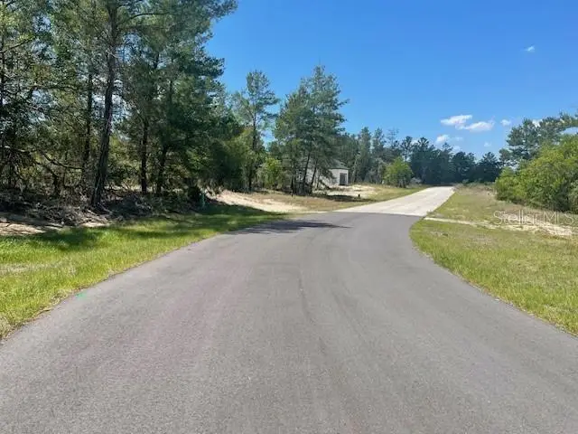 1342 Homosassa Drive, Poinciana, FL 34759 - #2