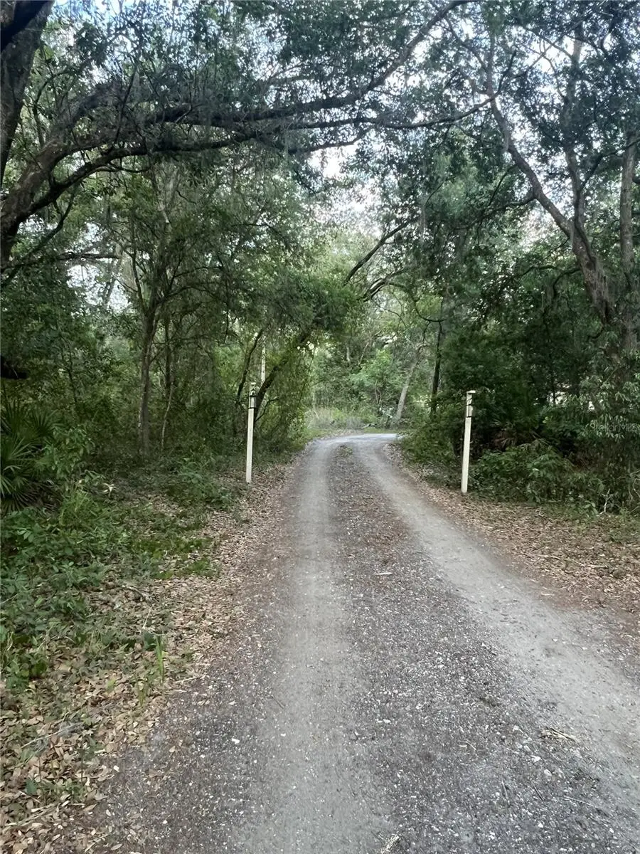 27137 Miller Road, Dade City, FL 33525 - #2