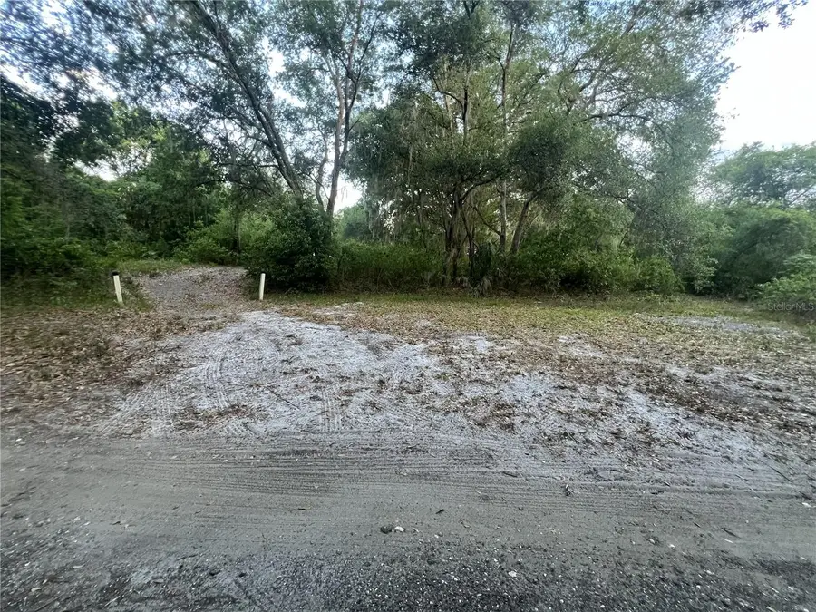 27137 Miller Road, Dade City, FL 33525 - #3