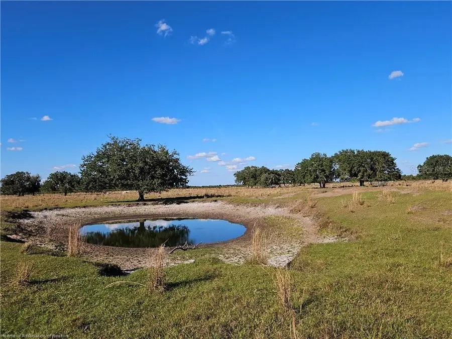 320 Grigsby Road, Venus, FL 33960 - #2