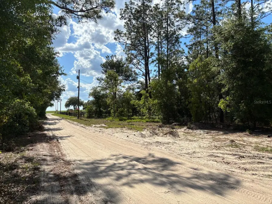 0A Sw 93rd Place, Dunnellon, FL 34432 - #2