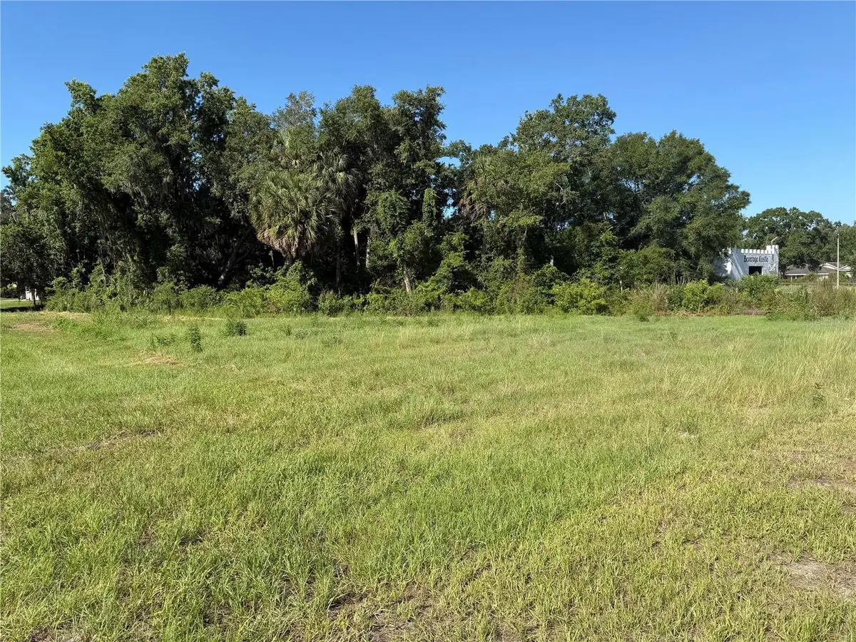 Dossey Road S, Lakeland, FL 33811 - #1
