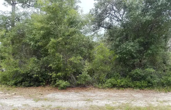 359 Coolidge Avenue Ne, LAKE PLACID, FL 33852