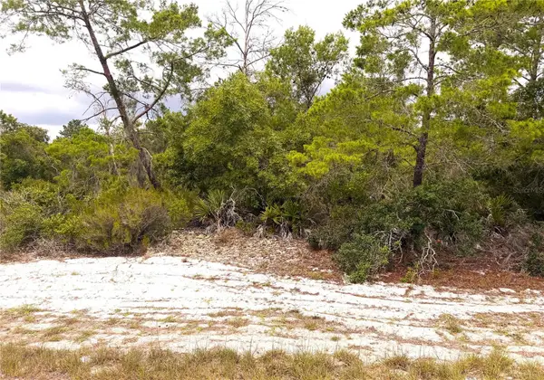 209 Coolidge Avenue Ne, LAKE PLACID, FL 33852
