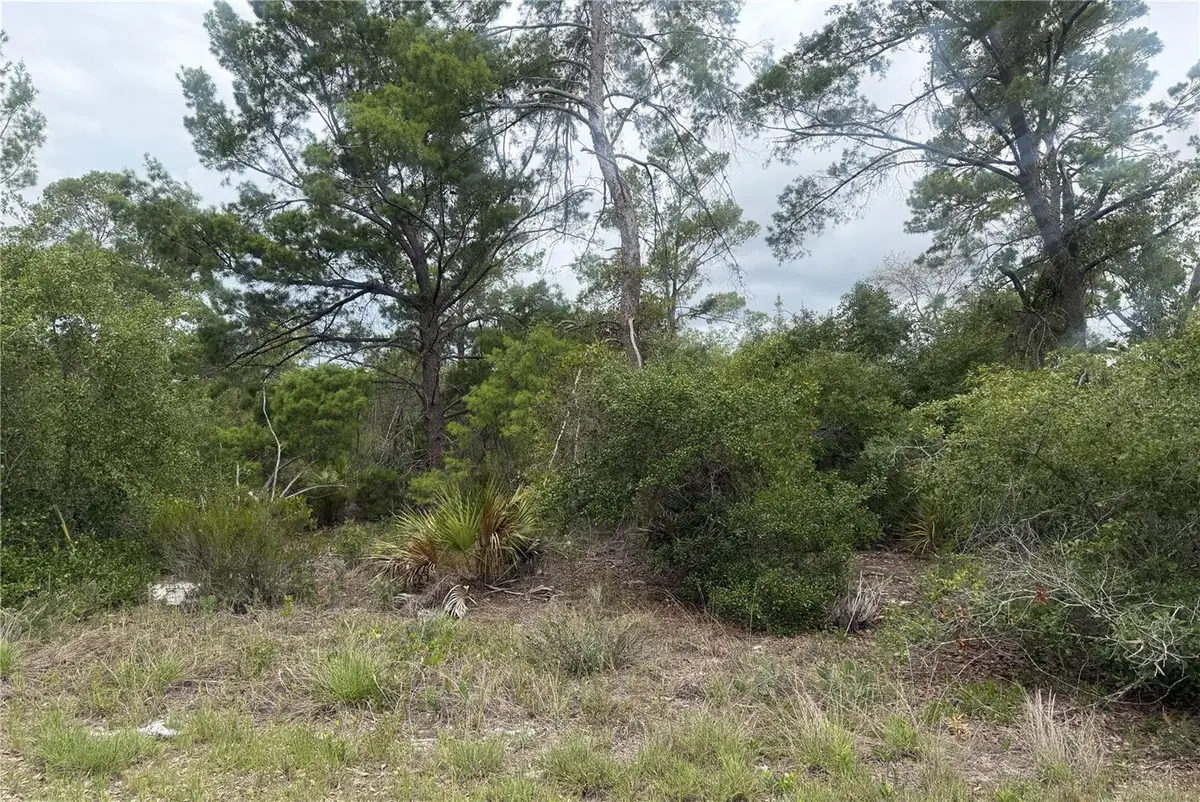 105 Hoover Avenue Ne, Lake Placid, FL 33852 - #1