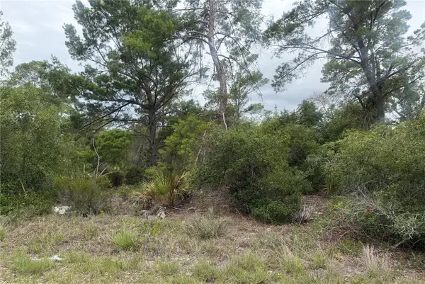 105 Hoover Avenue Ne, LAKE PLACID, FL 33852
