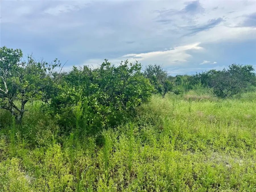 Hayman Road, Wauchula, FL 33873 - #3