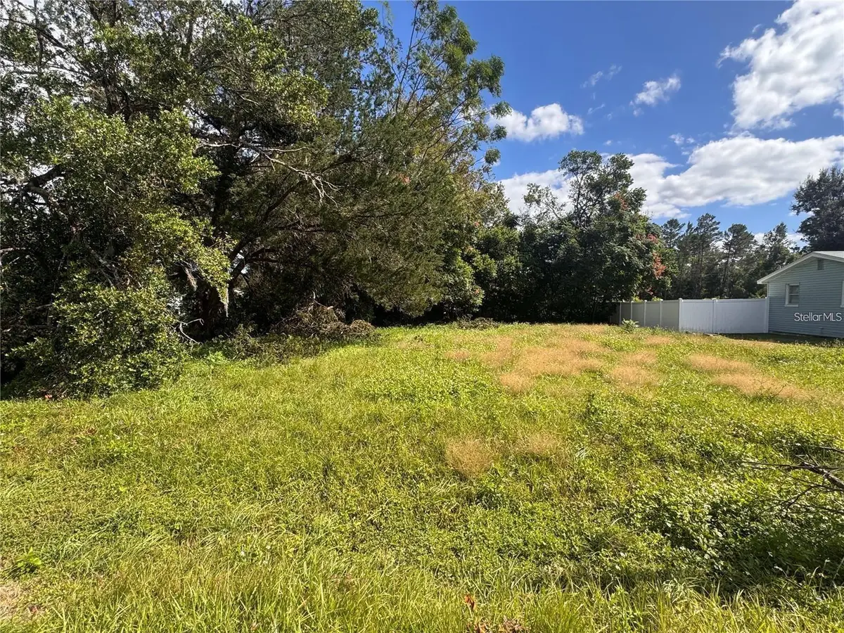 26408 Rolling Acres Drive, Brooksville, FL 34602 - #1