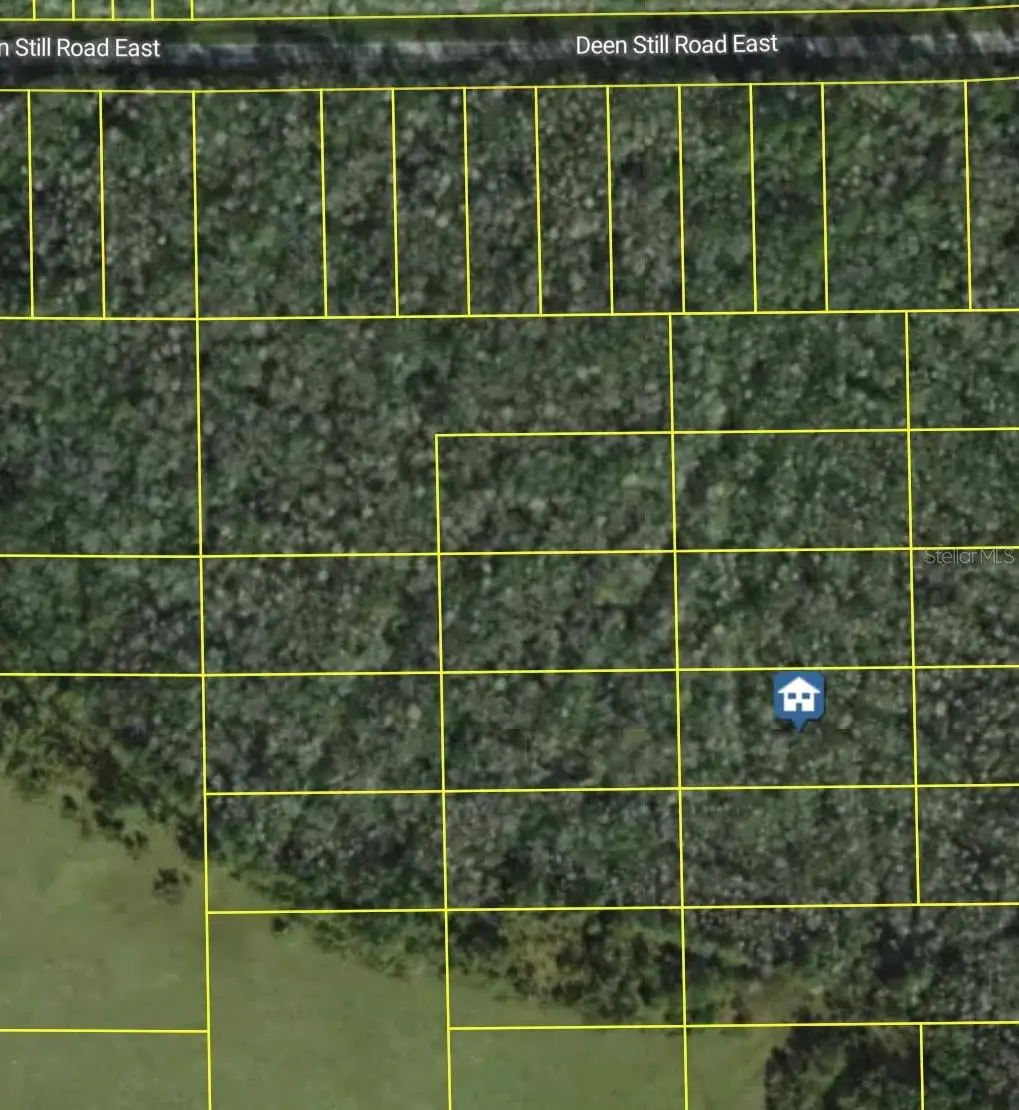Deen Still Road E, Polk City, FL 33868 - #1