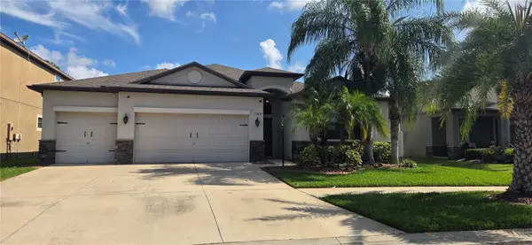 13807 Felix Will Road, RIVERVIEW, FL 33579