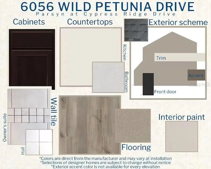 6056 Wild Petunia Drive, Wimauma, FL 33598 - #3