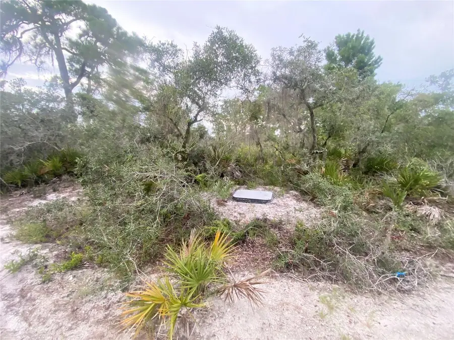 325 Brant Avenue, Sebring, FL 33870 - #2