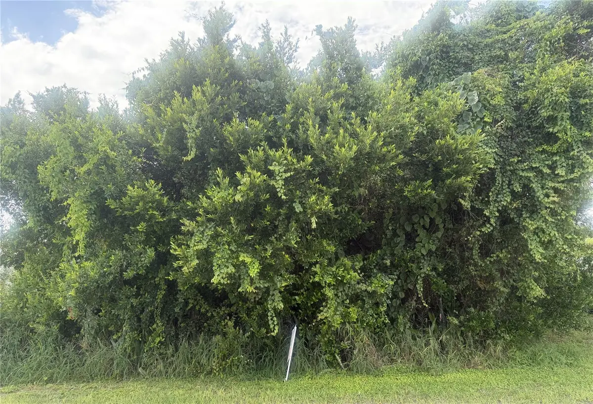 1600 E Claradge Avenue, Avon Park, FL 33825 - #1
