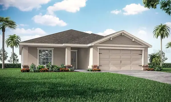 6062 Wild Petunia Drive, WIMAUMA, FL 33598