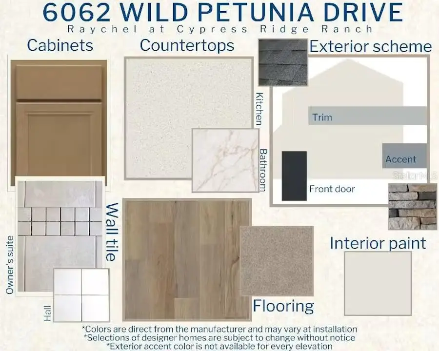 6062 Wild Petunia Drive, Wimauma, FL 33598 - #3