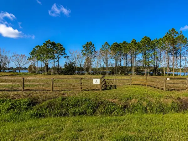 1380 Old Brewster Road, FORT MEADE, FL 33841