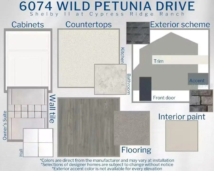6074 Wild Petunia Drive, Wimauma, FL 33598 - #3