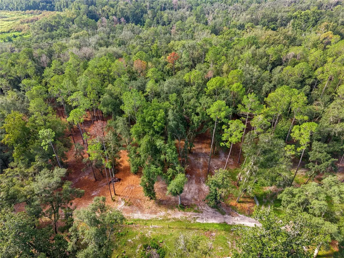 1050 Katie Wood Trail, Brooksville, FL 34602 - #1
